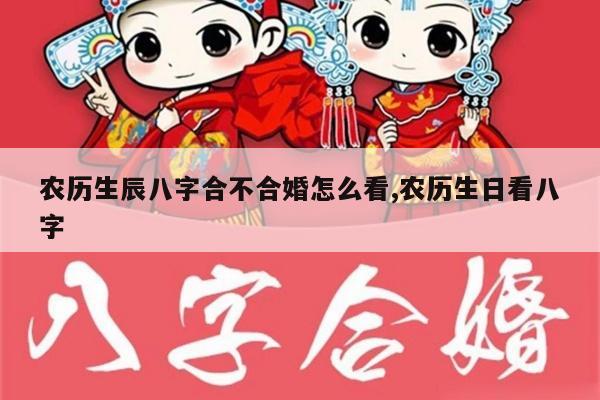 农历生辰八字合不合婚怎么看,农历生日看八字