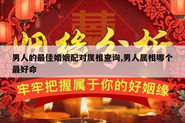 男人的最佳婚姻配对属相查询,男人属相哪个最好命