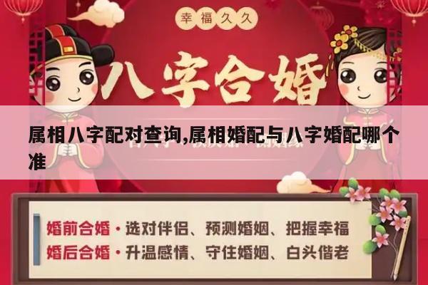 属相八字配对查询,属相婚配与八字婚配哪个准
