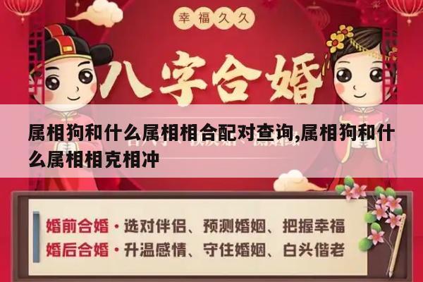 属相狗和什么属相相合配对查询,属相狗和什么属相相克相冲