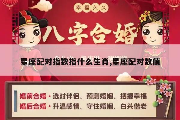 星座配对指数指什么生肖,星座配对数值
