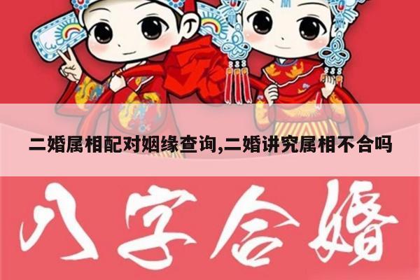 二婚属相配对姻缘查询,二婚讲究属相不合吗