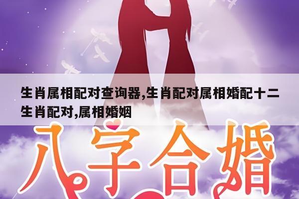 生肖属相配对查询器,生肖配对属相婚配十二生肖配对,属相婚姻