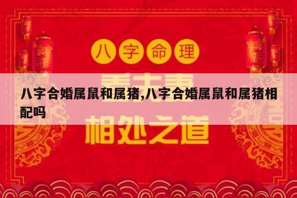 八字合婚属鼠和属猪,八字合婚属鼠和属猪相配吗