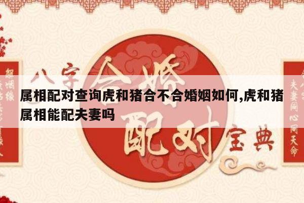 属相配对查询虎和猪合不合婚姻如何,虎和猪属相能配夫妻吗