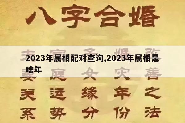 2023年属相配对查询,2023年属相是啥年