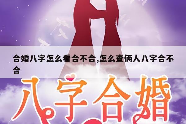 合婚八字怎么看合不合,怎么查俩人八字合不合