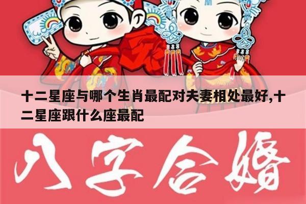 十二星座与哪个生肖最配对夫妻相处最好,十二星座跟什么座最配