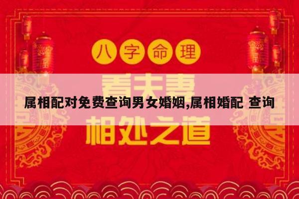 属相配对免费查询男女婚姻,属相婚配 查询