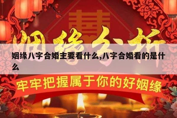 姻缘八字合婚主要看什么,八字合婚看的是什么