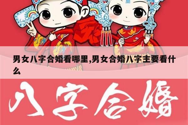 男女八字合婚看哪里,男女合婚八字主要看什么