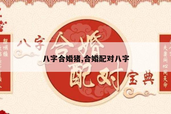 八字合婚猪,合婚配对八字