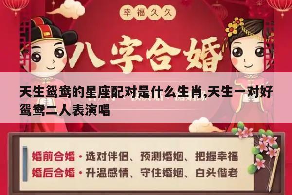 天生鸳鸯的星座配对是什么生肖,天生一对好鸳鸯二人表演唱