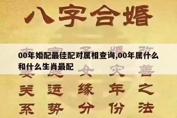 00年婚配最佳配对属相查询,00年属什么和什么生肖最配