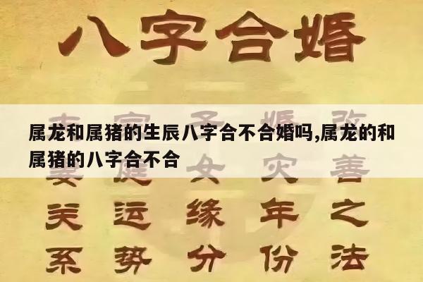 属龙和属猪的生辰八字合不合婚吗,属龙的和属猪的八字合不合