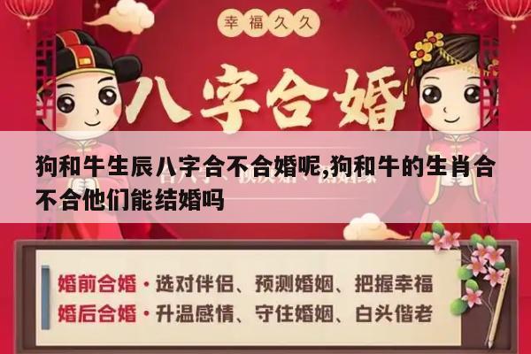 狗和牛生辰八字合不合婚呢,狗和牛的生肖合不合他们能结婚吗