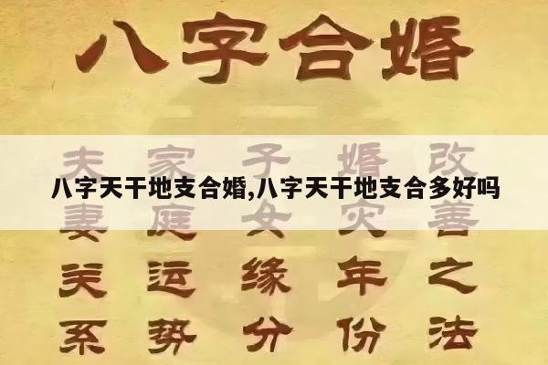 八字天干地支合婚,八字天干地支合多好吗