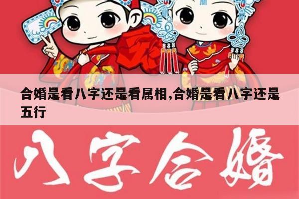 合婚是看八字还是看属相,合婚是看八字还是五行