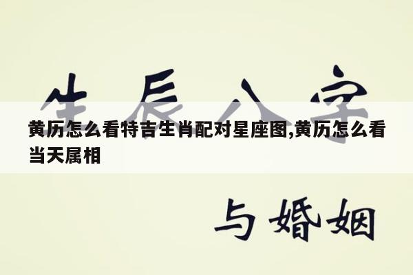 黄历怎么看特吉生肖配对星座图,黄历怎么看当天属相