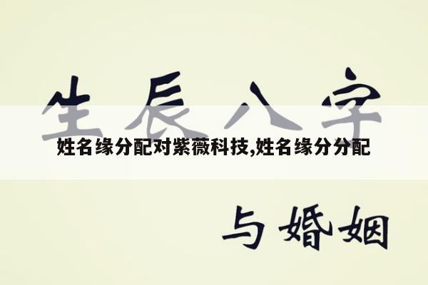 姓名缘分配对紫薇科技,姓名缘分分配