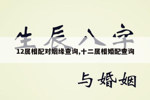 12属相配对姻缘查询,十二属相婚配查询
