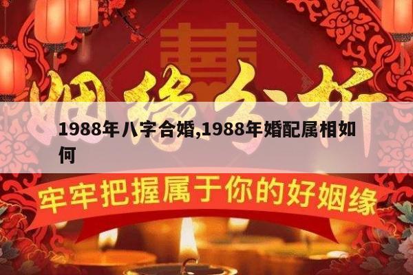 1988年八字合婚,1988年婚配属相如何