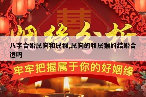 八字合婚属狗和属猴,属狗的和属猴的结婚合适吗