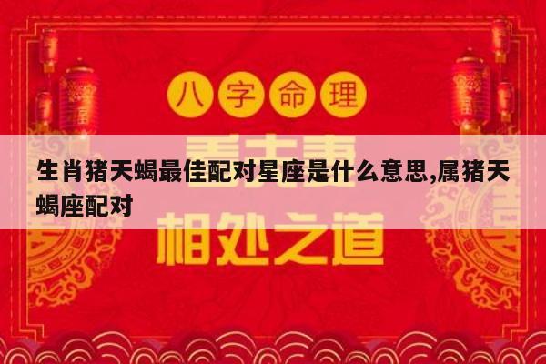 生肖猪天蝎最佳配对星座是什么意思,属猪天蝎座配对