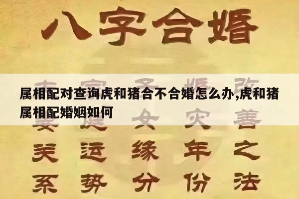 属相配对查询虎和猪合不合婚怎么办,虎和猪属相配婚姻如何