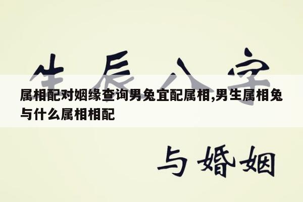 属相配对姻缘查询男兔宜配属相,男生属相兔与什么属相相配