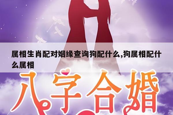 属相生肖配对姻缘查询狗配什么,狗属相配什么属相