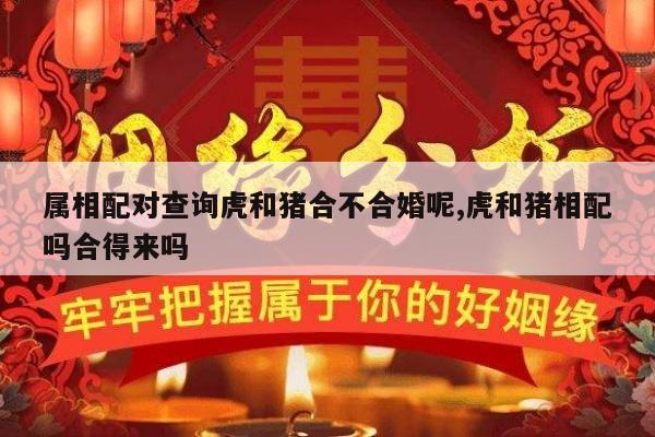属相配对查询虎和猪合不合婚呢,虎和猪相配吗合得来吗