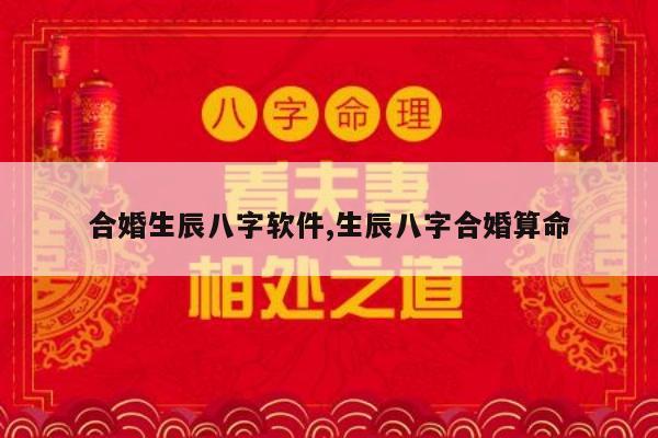 合婚生辰八字软件,生辰八字合婚算命