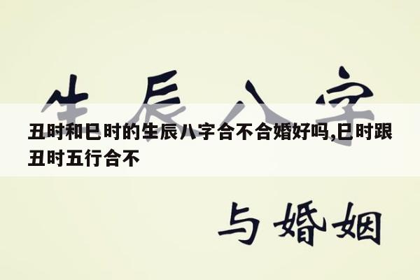 丑时和巳时的生辰八字合不合婚好吗,巳时跟丑时五行合不