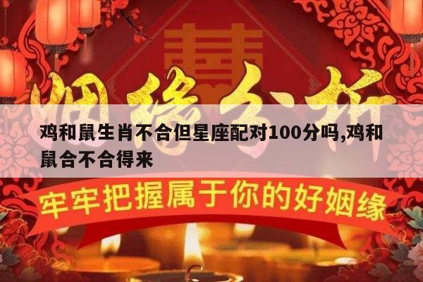 鸡和鼠生肖不合但星座配对100分吗,鸡和鼠合不合得来
