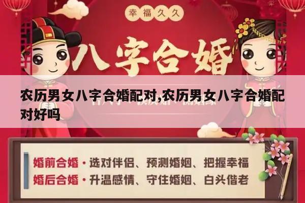 农历男女八字合婚配对,农历男女八字合婚配对好吗