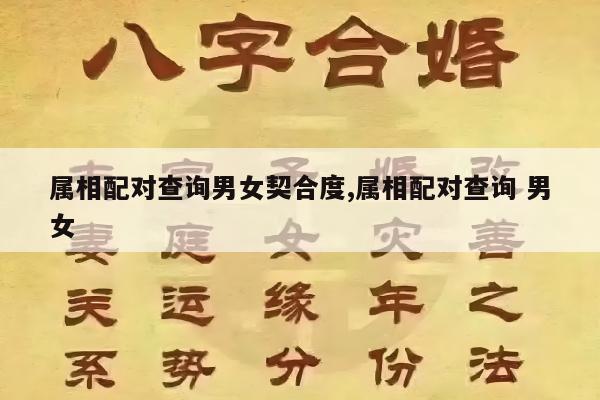 属相配对查询男女契合度,属相配对查询 男女