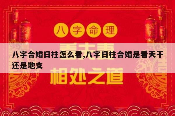 八字合婚日柱怎么看,八字日柱合婚是看天干还是地支