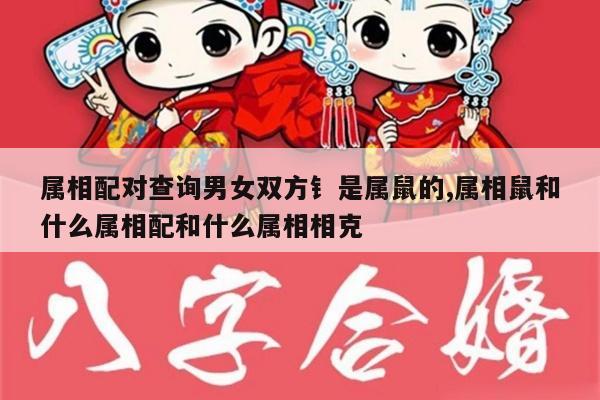 属相配对查询男女双方钅是属鼠的,属相鼠和什么属相配和什么属相相克