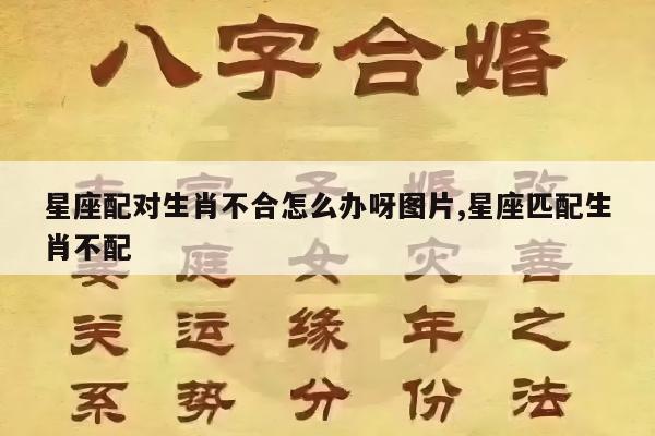 星座配对生肖不合怎么办呀图片,星座匹配生肖不配