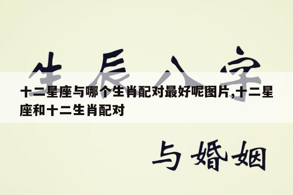 十二星座与哪个生肖配对最好呢图片,十二星座和十二生肖配对