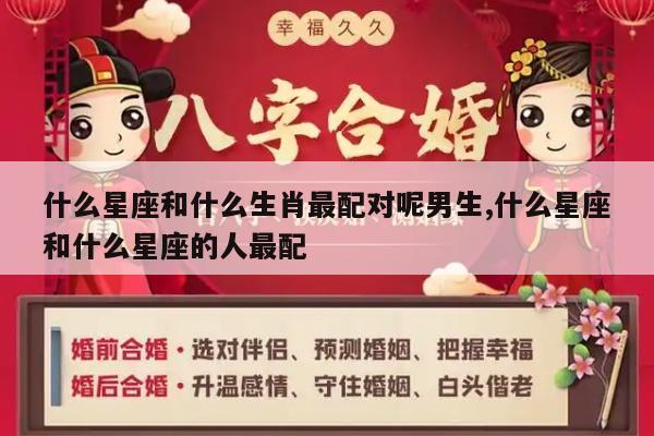 什么星座和什么生肖最配对呢男生,什么星座和什么星座的人最配