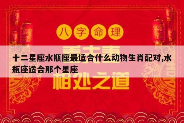 十二星座水瓶座最适合什么动物生肖配对,水瓶座适合那个星座