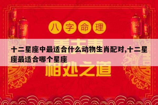 十二星座中最适合什么动物生肖配对,十二星座最适合哪个星座
